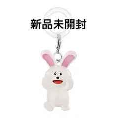 たべっこどうぶつ　たべっ子どうぶつ　めじるしアクセサリー　うさぎ