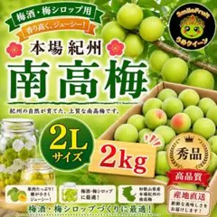 和歌山県産 希少品種♥️紫の梅‼️中玉サイズ 2kg みかんキング 家庭