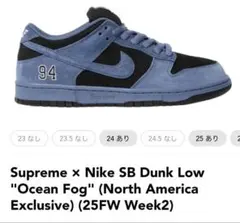 Nike SB Dunk Low Supreme Ocean Fog 28cm