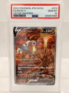 PSA10 エンテイV &ライコウVSAR連番セット S12a