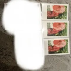 いれいすりうら実写チェキ