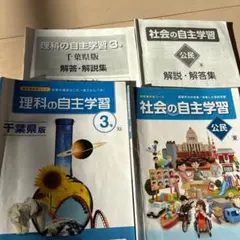 Item thumbnail for item 89bd4578-9146-44cb-8831-dc9c664ab567