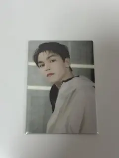 SEVENTEEN セブチ バーノン Vernon トレカ follow