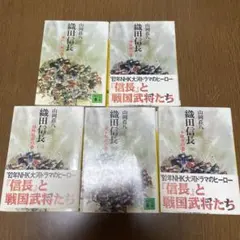 Item thumbnail for item 71d19d7d-f825-4746-b3c1-cb639ff9e1bc