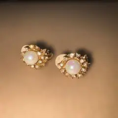 真珠 イヤリング Nina Ricci