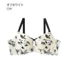 aimerfeel 超盛ブラ E65