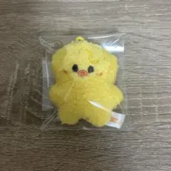 Stray Kids スキズ マイクロ キーリング フィリックス ポガリ