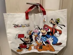 香港ディズニー　キャラクター　バッグ