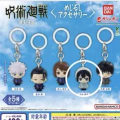 呪術廻戦 めじるしアクセサリー 懐玉 玉折　天内理子