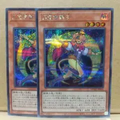 ぷっちょまん様 リクエスト 2点 まとめ商品