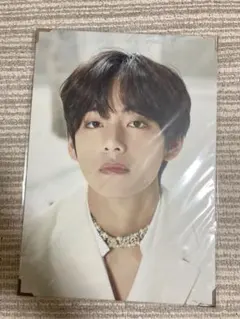 BTS テヒョン V テテ プレミアムフォト パネル MAP OF…
