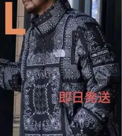 THE NORTH FACE NOVELTY LOFTY DOWN JACKET