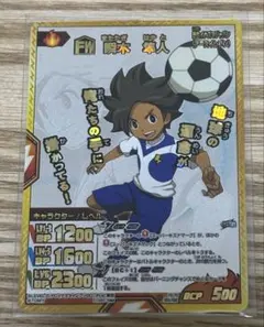 2026年最新】イナズマイレブンカードケースの人気アイテム - メルカリ