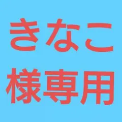 ★◆(きなこ様専用！)おまとめ購入2点！