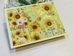 メッセージカード８枚【ひまわり②】誕生日　結婚　出産　お祝い