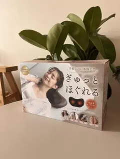 ホグシア　ブラウン