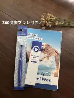 Dr. Dental Wan ドクターデンタルワン360度歯ブラシ セットのサムネイル
