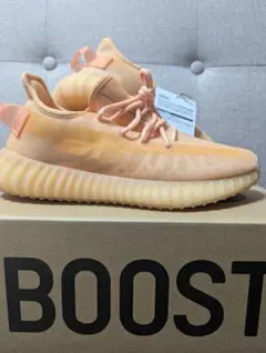 adidas YEEZY BOOST 350 V2 GW2870のサムネイル