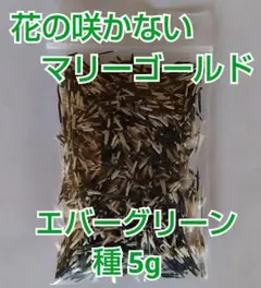 coo様 リクエスト 3点 まとめ商品