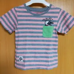 緑ポケットTシャツ灰色ボーダーM/110cmキッズ100cm-115cmチャムス