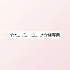 ☆*:.。.ミーコ.。.:*☆様専用