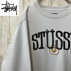 【激レア】STUSSY ステューシー　スウェット　トレーナー　ゆるだぼ　刺繍