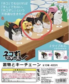 ♯Kvi12JZネコずしニャー太メタルプレート全7種 ♯Kvi12JZネコずしニャー太メタルプレート全7種 ♯Kvi12JZネコず