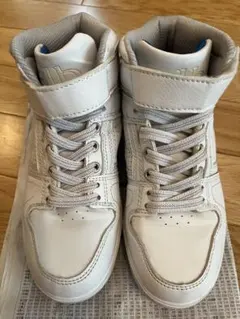 Item thumbnail for item 3b6c80a3-c918-4657-8efe-3b38c7829403