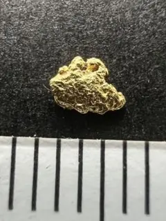 大粒砂金 自然金 ゴールドナゲット 現物資産 天然金 金貨 小判