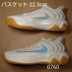 バスケット 22.5cm ナイキ ヤニス イモータリティ 4 EP