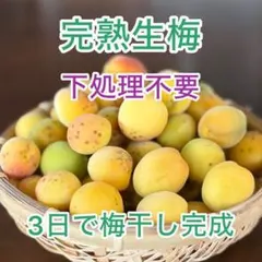 完熟ありが梅　850g　早っ！梅干が最短日3日で完成！　しかも下処理不要のサムネイル