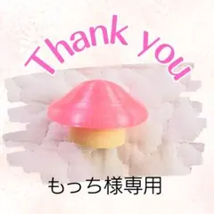 もっち様専用ページ