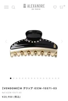 2025年最新】アレクサンドルドゥパリ クリップの人気アイテム - メルカリ