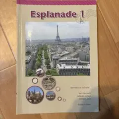 Esplanade 1 Bienvenue a Paris 1