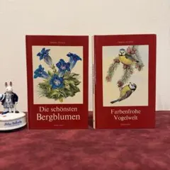 119②ドイツ植物図鑑　鳥図鑑　2冊セット　ジャンクジャーナル　ボタンニカル