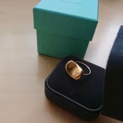 Item thumbnail for item 43d6e839-c9b8-4962-b420-94e3f0a4ada3