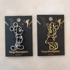 東京ディズニーランド ミッキー＆ミニー ブローチセット