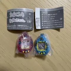 たまごっち　シャカシャカチャームコレクション　まめっち　まるっち