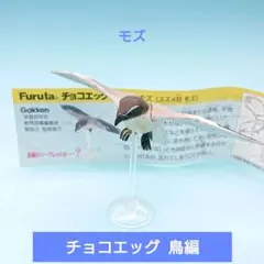 2025年最新】鳥編 チョコエッグの人気アイテム - メルカリ