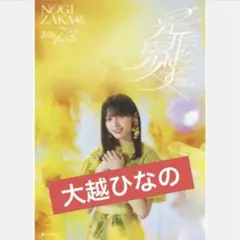 ラストアイドル 全メンバー直筆サイン入りポスター 高嶺のなでしこ ラストアイドル 全メンバー直筆サイン入りポスター 高嶺のなでしこ