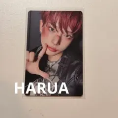 &TEAM HARUA ハルア　Back to Life トレカ