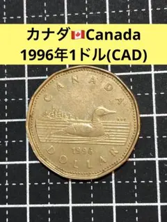 カナダ　1ドル　コイン　硬貨　まとめ売り Yahoo!オークション - 古銭 カナダ 1ドル硬貨 3枚セット 1989