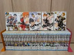 ⭐︎値下げ大歓迎⭐︎ ハイキュー!! 全巻セット 1-24、33-45巻 古舘春