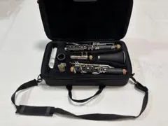 状態良好】Nikkan クラリネット CL-23N ハードケース付 - メルカリ