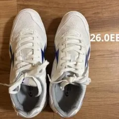 体育館シューズ　moonSTAR GYMSTAR 26.0EE青　ブルー