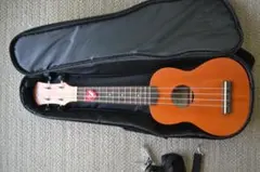 Item thumbnail for item 0fcb97fc-8732-41e9-9b13-63a2df0db5df