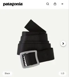 パタゴニア patagonia テックウェブベルト 【新品同様】