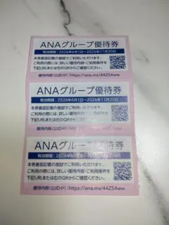 匿名配送 ANAグループ優待券 3枚セット - メルカリ