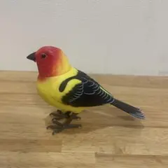 ミュージックバード