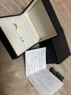 2025年最新】バーニーズ SAFFRAAN ピアスの人気アイテム - メルカリ